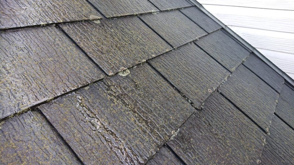 屋根塗装洗浄前